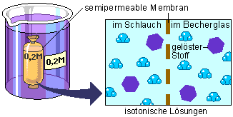 Ein Becherglas mit einer isotonischen L&ouml;sung