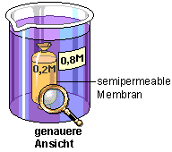 Osmose