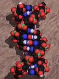 DNA_Helix