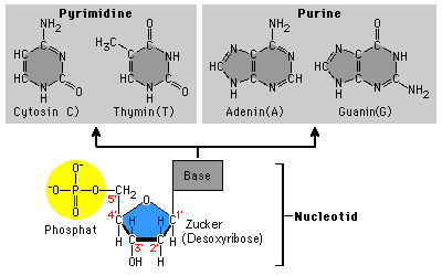 Bausteine1