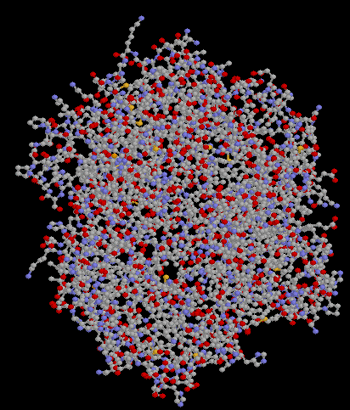 hemoglobin model